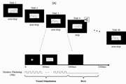 Deficits in auditory and visual steady-state responses in adolescents with bipolar disorder