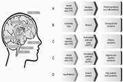 Computational Neuroscience Approach to Psychiatry: A Review on Theory-driven Approaches